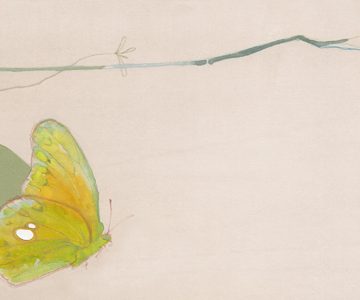 Zuzanna Celej nos habla de ‘Con alas de mariposa’