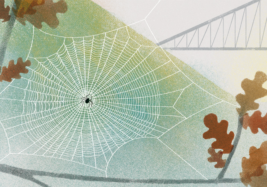 Neus Caamaño nos invita a ‘Redescubrir el mundo’ Un Periodista en el