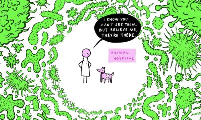 Sketching Antimicrobial Resistance