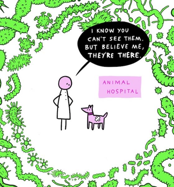 Sketching Antimicrobial Resistance