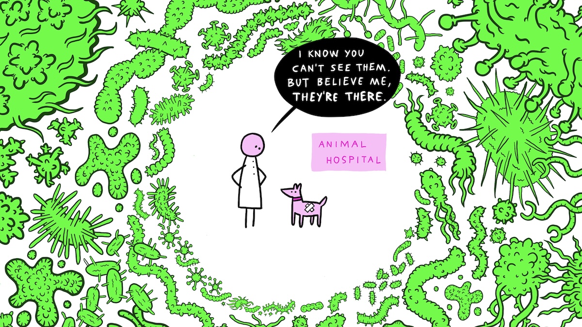 Sketching Antimicrobial Resistance