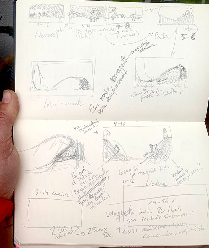 Nanen García-Contreras